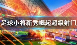 足球解说爆料网站大全视频,精彩视频背后的故事