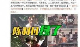 王海鸥爆料视频播放下载,独家播放下载解析