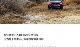 陆地最新真实爆料,陆地最新真实爆料，带你走进不为人知的幕后故事