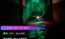 瑞辉高管爆料视频造假,揭秘真相背后的惊人内幕