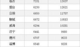 山东薪资爆料最新消息,最新薪资水平及行业动态大盘点