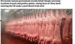 寄生虫美国爆料了吗最新消息,寄生虫事件持续发酵，真相逐渐浮出水面