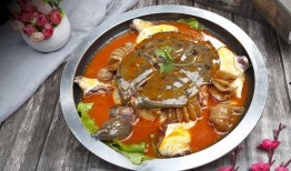 麻辣甲鱼爆料怎么做视频,揭秘视频制作全攻略