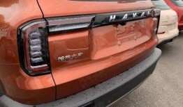 大狗哈弗爆料视频播放下载,独家下载解析