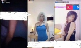 深圳杜小姐爆料视频大全,揭秘背后惊人真相