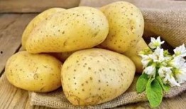 土豆bug网红吃瓜微博,揭秘娱乐圈幕后真相