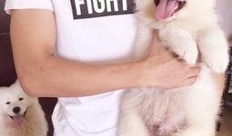 小胖爆料二哥视频大全最新,二哥视频大全最新爆料，精彩瞬间一网打尽！