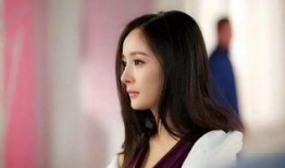 杨幂爆料文案视频素材,揭秘娱乐圈不为人知的秘密