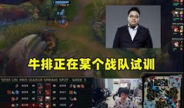 最新战队爆料视频播放,精彩瞬间与幕后故事大曝光