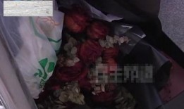 路见不平真实爆料视频,揭秘真实爆料视频背后的正义之战