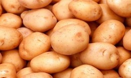 土豆bug网红吃瓜微博,揭秘娱乐圈幕后真相