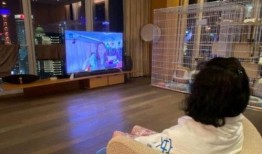 黄队宝宝爆料视频,一场惊心动魄的幕后故事