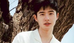 娱乐圈爆料刘昊然,娱乐圈再掀波澜