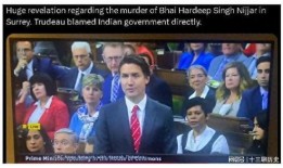 加拿大高管爆料事件视频,揭秘企业内幕与权力斗争