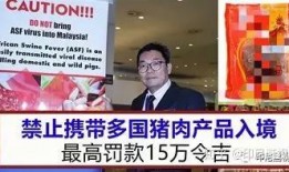印尼猪瘟最新爆料图片