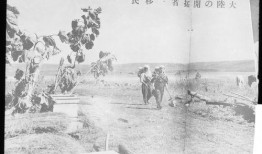 东夷沙河最新一期爆料图,探寻神秘古文明的秘密遗迹