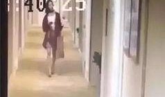 网友爆料餐厅事件视频在线观看,现场视频引发热议