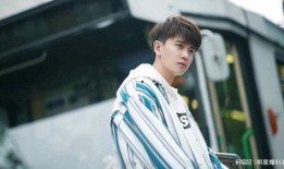 娱乐 大爆料 任嘉伦,揭秘明星背后的故事与精彩瞬间