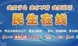 民生录视频爆料,视频爆料背后的真相与启示