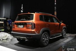 大狗哈弗爆料视频播放下载,独家下载解析