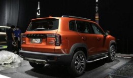 大狗哈弗爆料视频播放下载,独家下载解析