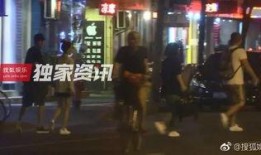 狗仔爆料王丽坤视频播放,王丽坤私密视频意外曝光，引发网友热议