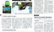 屯子最新爆料新闻报道,揭秘事件背后惊人真相