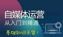 爆料人如何赚钱最快呢视频,快速致富的秘密通道