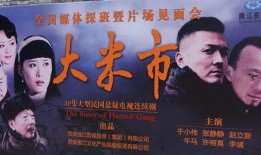 大米市 在线观看,在线观看，揭秘大米市场的风云变幻