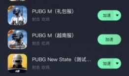 pubg国际服最新手册爆料,最新Pubg国际服手册爆料，带你领略游戏新篇章