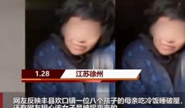 丰县八孩爆料事件视频,揭开尘封的悲剧，探寻真相与正义
