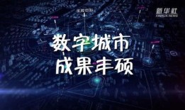 每一天在线观看