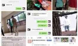 爆料跳单视频大全下载免费,免费下载爆料视频大全解析