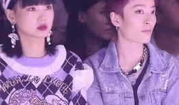 爆料娱乐圈的剧情小说