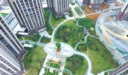 航拍世家爆料视频下载,揭秘航拍家族传承与创新之路