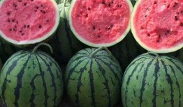 吃瓜免费在线观看