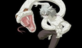 忍法帖佩恩最新爆料,揭秘神秘忍者世界与佩恩的真实身份