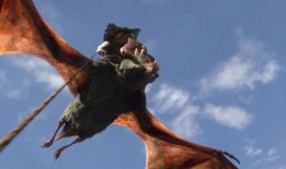 翼手龙在线观看,空中霸主，揭秘史前神秘生物的飞翔传奇