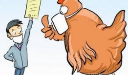 新闻爆料禽流感,紧急应对与防控措施全面启动