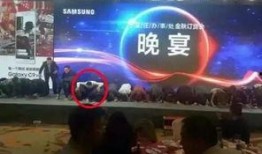 瑞辉高管爆料视频造假,揭秘真相背后的惊人内幕