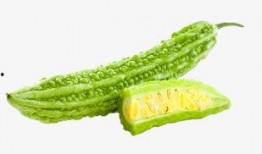 xingzhigogo421免费吃瓜,免费吃瓜背后的秘密与魅力