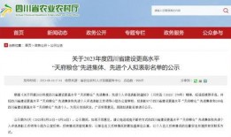 天府最新爆料消息,揭秘神秘项目，未来科技发展再掀热潮