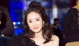 杨幂爆料文案视频素材,揭秘娱乐圈不为人知的秘密