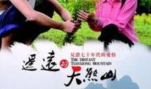 遥远的天熊山在线观看,揭秘遥远天熊山神秘之旅