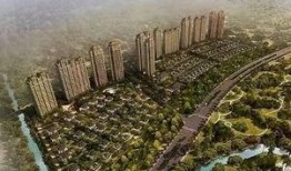 攀枝花西海岸爆料事件最新,真相与争议交织