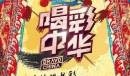 喝彩中华在线观看,传承文化盛宴