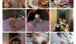 网友爆料北极鲶鱼事件视频,网友爆料视频揭露惊人内幕