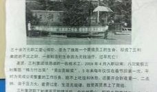 青岛三利集团最新爆料,揭秘企业转型与市场布局新动向