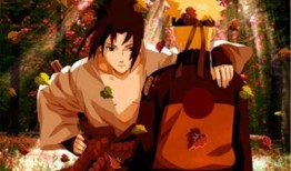 少年佐助爆料视频在线观看,揭秘忍者世界背后的真相