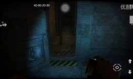 女体实验在线观看,在线观看背后的真相与争议